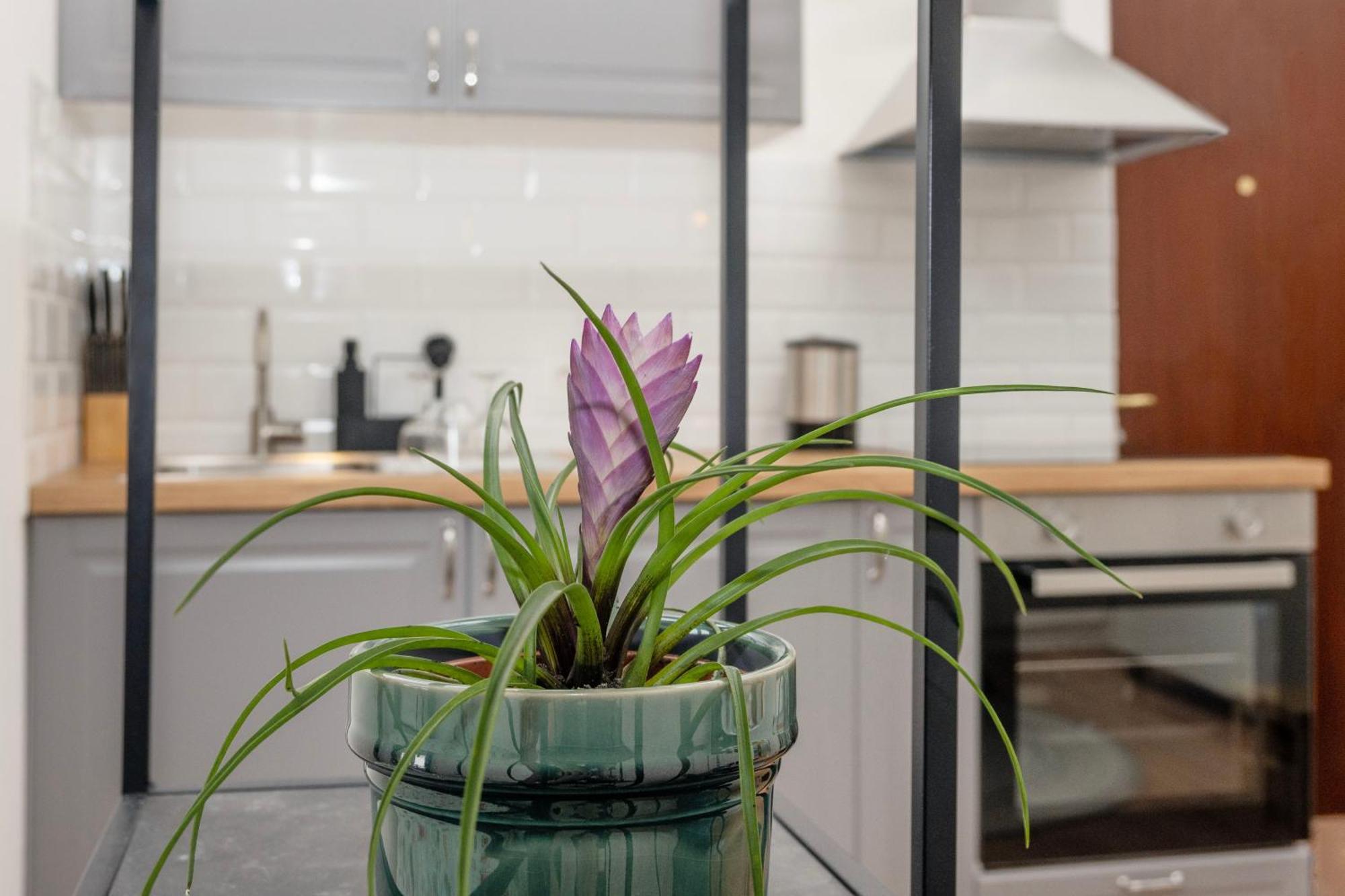 Studio Apartment Stadium 萨格勒布 外观 照片